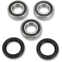 (image for) Rear Wheel Bearing and Seal Kit