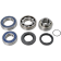 (image for) Drive Shaft Chain Case Bearing and Seal Kit