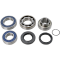 (image for) Drive Shaft Chain Case Bearing and Seal Kit