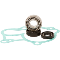 (image for) Hot Rods Water Pump Repair Kit