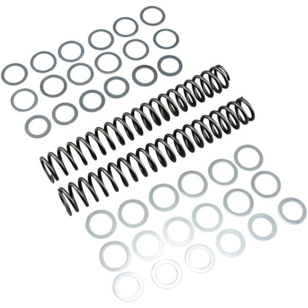 (image for) Race Tech Fork Spring FRSP-S382710