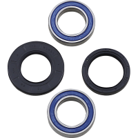 (image for) Front Wheel Bearing and Seal Kit