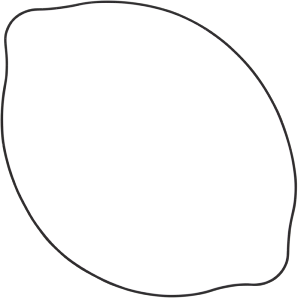 (image for) WINDEROSA Vertex Outer Clutch Gasket Kit