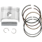 (image for) Wiseco High-Performance Piston - 4156M06600