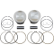 (image for) Tracker Series Piston Kit - 3.875" Bore