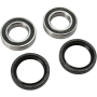 (image for) Front Wheel Bearing and Seal Kit