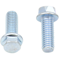 (image for) Replacement 8mm Hex-Head Flange Bolt M6 x 1.0 x 16