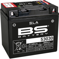 (image for) BS Battery SLA AGM 2113-0617