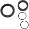 (image for) Countershaft Seal Kit 0935-0439