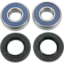 (image for) Front Wheel Bearing and Seal Kit