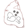 (image for) ProX Water Pump Repair Kit