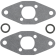 (image for) Vertex Exhaust Valve Gasket Kit 0934-0860