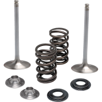 (image for) Stainless Steel Conversion Valve and Spring Kit - Intake