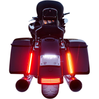 (image for) Dual-Color Plasma Rods 8"