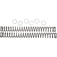 (image for) Race Tech Fork Spring 0405-0147
