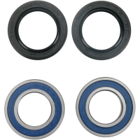 (image for) Front Wheel Bearings and Seal Kit
