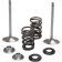 (image for) Stainless Steel Conversion Valve and Spring Kit - Intake