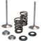 (image for) Stainless Steel Conversion Valve and Spring Kit - Intake