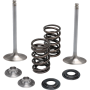 (image for) Stainless Steel Conversion Valve and Spring Kit - Intake