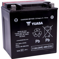 (image for) Drag Specialties AGM Batteries Battery 2113-0102