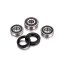 (image for) Rear Wheel Bearing Kit - BETA