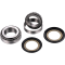 (image for) OEM Series Steering Stem Bearing Kit 0401-0114