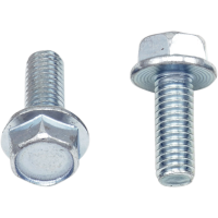 (image for) Replacement 10mm Hex-Head Flange Bolt M6 x 1.0 x 16
