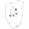 (image for) ProX Water Pump Repair Kit
