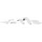 (image for) Complete Body Kit - White