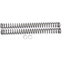 (image for) Race Tech Fork Spring 0405-0832