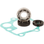 (image for) Hot Rods Water Pump Repair Kit