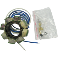 (image for) Rick's Motorsport Electrics Stator 2112-1000