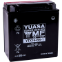 (image for) Yuasa AGM Maintenance-Free Battery YTX16-BS-1
