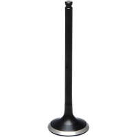 (image for) Black Diamond Exhaust Valve