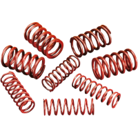 (image for) Andrews High-Lift Valve Spring Kit