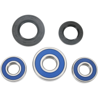 (image for) Rear Wheel Bearing and Seal Kit for Suzuki GS1200 (Euro) 99-00