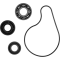 (image for) Hot Rods Water Pump Repair Kit