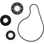 (image for) Hot Rods Water Pump Repair Kit