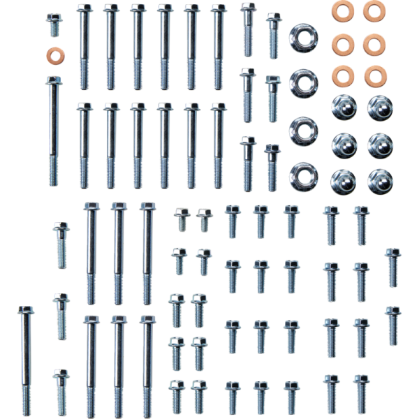 (image for) BOLT Engine Fastener Kit - Suzuki RM250 01-08