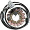 (image for) Accel Unmolded Alternator Stator 2112-0420