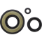 (image for) Engine Oil Seal Kit for Yamaha Exciter LE 570 90-93