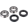 (image for) Front Wheel Bearing Kit - SUZUKI