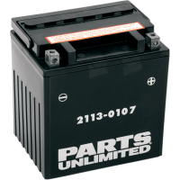 (image for) Parts Canada AGM Battery 2113-0107