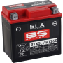 (image for) BS Battery SLA AGM 2113-0627