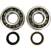 (image for) Main Bearing and Seal Kit - SUZUKI RM250 05-08