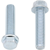 (image for) Replacement 8mm Hex-Head Flange Bolt M6 x 1.0 x 25