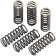 (image for) Clutch Spring Set