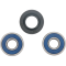 (image for) Front Wheel Bearing and Seal Kit