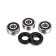 (image for) Rear Wheel Bearing Kit - FANTIC
