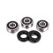 (image for) Rear Wheel Bearing Kit - FANTIC